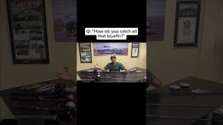 Deadly Night Jig Setup for Bluefin Tuna #BluefinTuna #NightFishing #Jigging   #TunaJigging