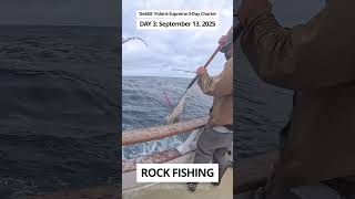 Rockfishing… Literally 😂🪨🎣 #shorts #rockfishing #tunanocrustfishing